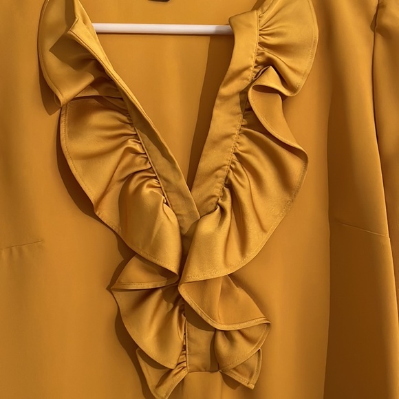 J. Crew Goldenrod V-Neck Ruffle Long Sleeve Blouse - Picture 3 of 3